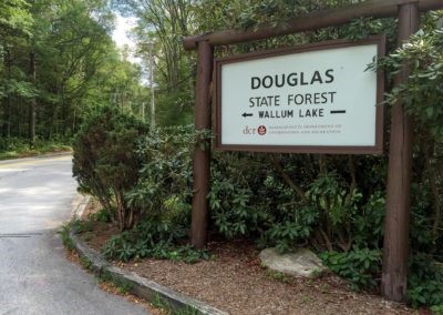 Douglas State Forest, Douglas, Massachusetts